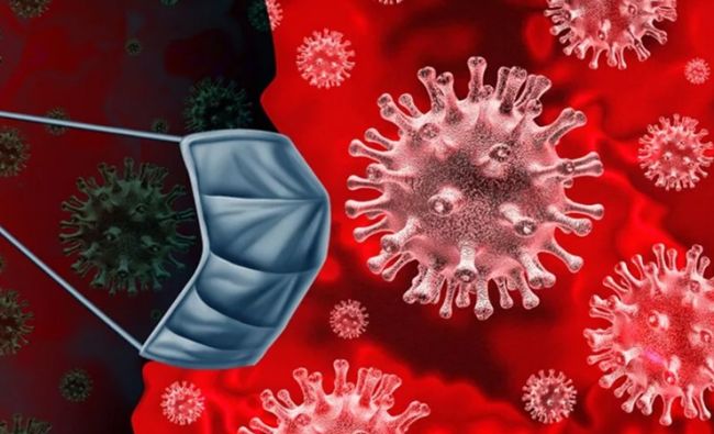 Nature: Пять загадок о происхождении коронавируса, над которыми работают ученые