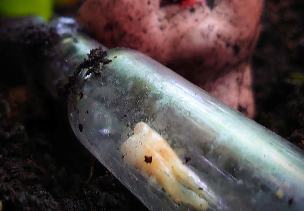 Англичанин откопал в лесу 150-летнюю "бутылку ведьмы"
