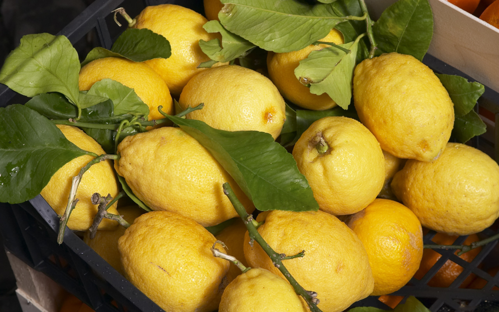 Страшная месть? В России вслед за мандаринами запретили ввозить из Турции лимоны