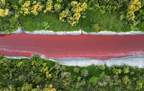 Криваво-червоні води річки налякали аргентинців