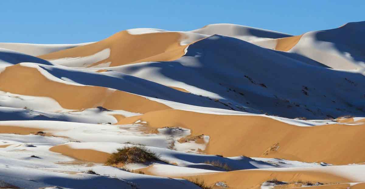 В пустыне Сахаре неожиданно выпал снег