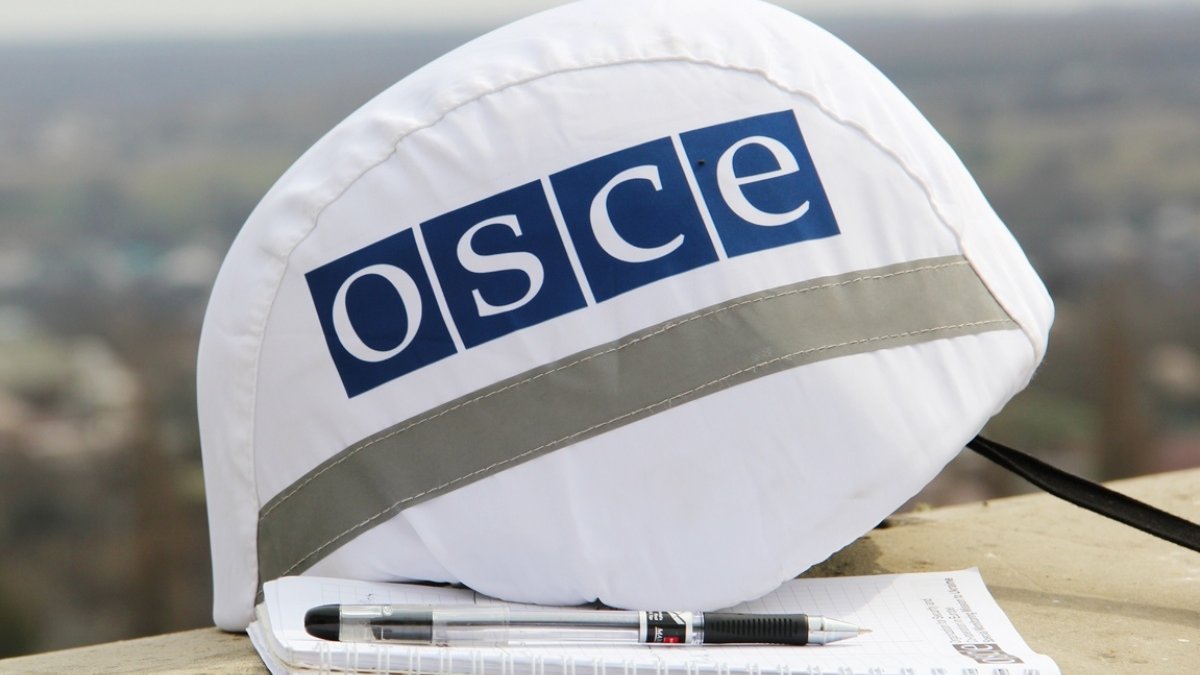 Сергей Гармаш: ОБСЕ превзошла себя в стремлении угодить РФ