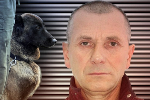  В Україні шукають небезпечного вбивцю: що відомо 