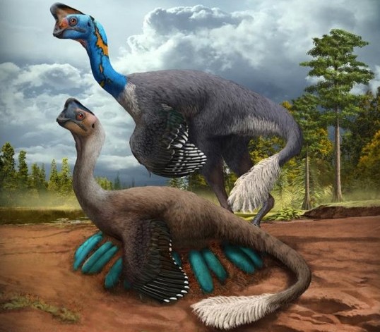 Где Дейнерис? Палеонтологи обнаружили скелет динозавра с 24 окаменелыми яйцами