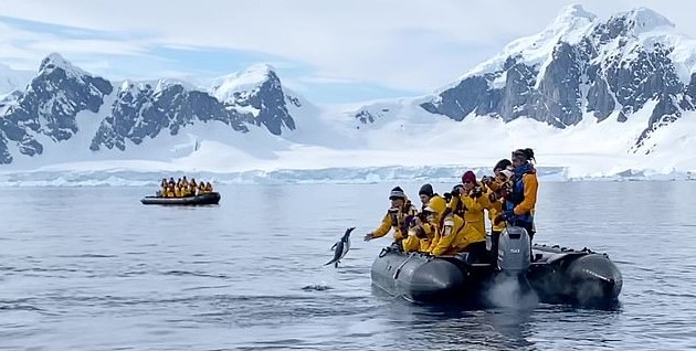 В Антарктиде пингвин спасся от косаток в лодке туристов