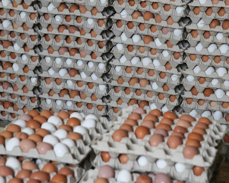 Дорогие яйца. Как не получить по голове инфляцией? – Сергей Фурса 