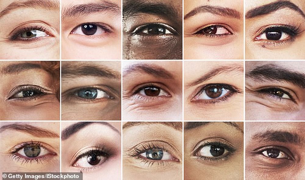 гены, определяют, цвет, глаз, новое, исследование 