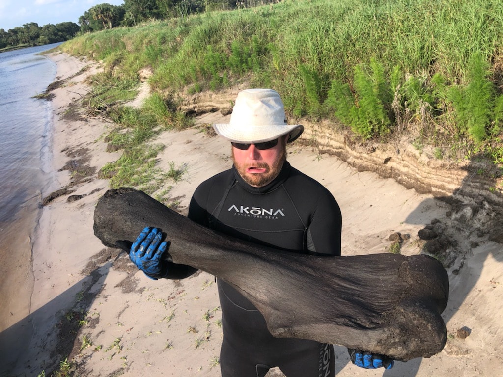 Во Флориде дайверы наткнулись на кость мамонта возрастом в 100 000 лет – Daily Mail