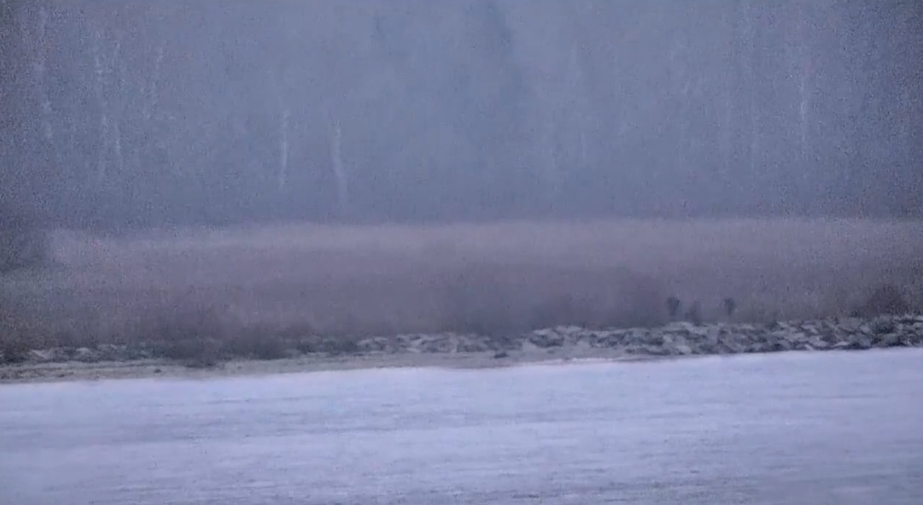 Троє російських прикордонників "заблукали" і вешталися по території Естонії 