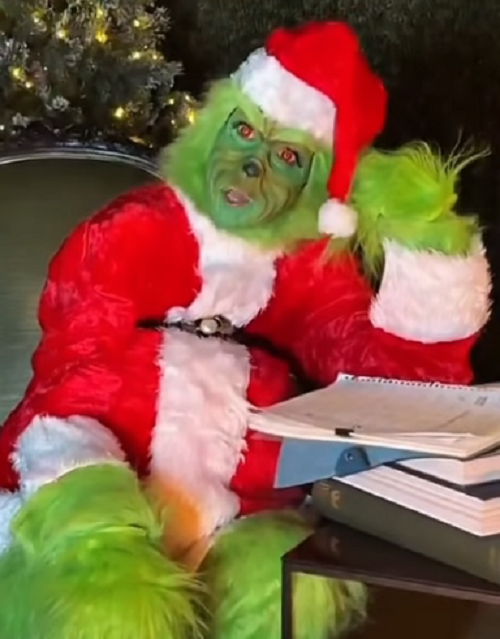 Селін Діон перевтілилась у Ґрінча на Різдво. ВІДЕО