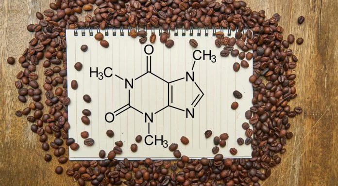 Світлана Фус: Вживання 400 мг кофеїну на добу вважається безпечним для дорослих