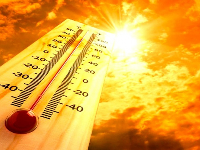 Человечество ожидает самый жаркий год за всю историю 