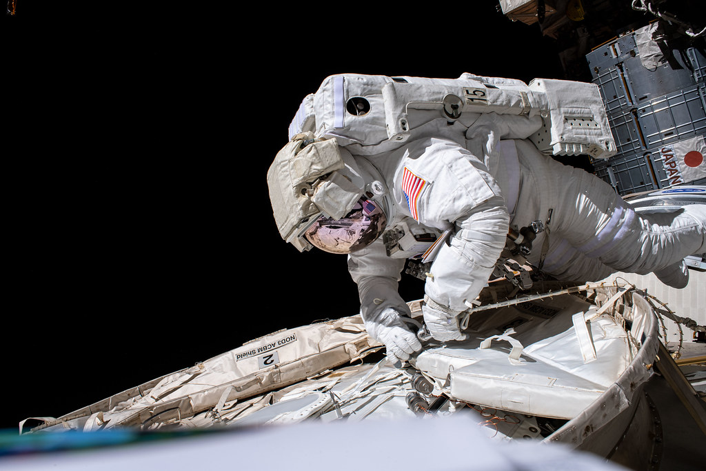 The Daily Mail: Как космические полеты влияют на иммунную систему астронавтов?
