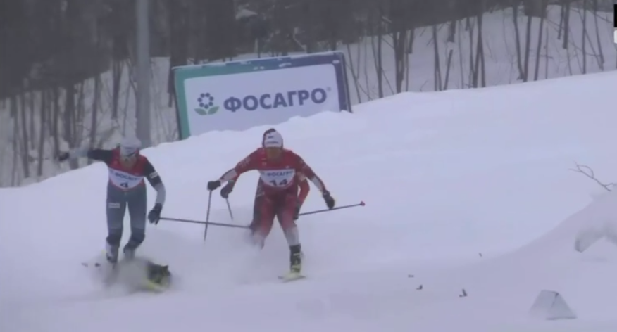 У Росії пес зніс лижниць під час гонки