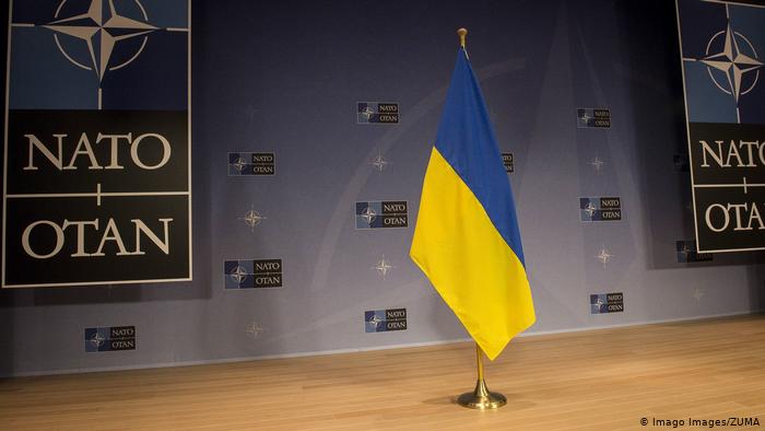 Береза: Руководство Украины просто ноет, выпрашивает ПДЧ и не выполняет то, что обязано