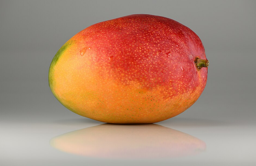 Індієць вирощує 300 сортів манго на одному дереві