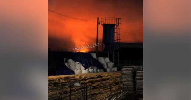 Порт Усть-Луга знову атакували дрони після повідомлення про поновлення роботи