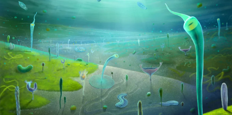 У Китаї виявили рештки істот, схожих на піщаних червів із "Дюни"