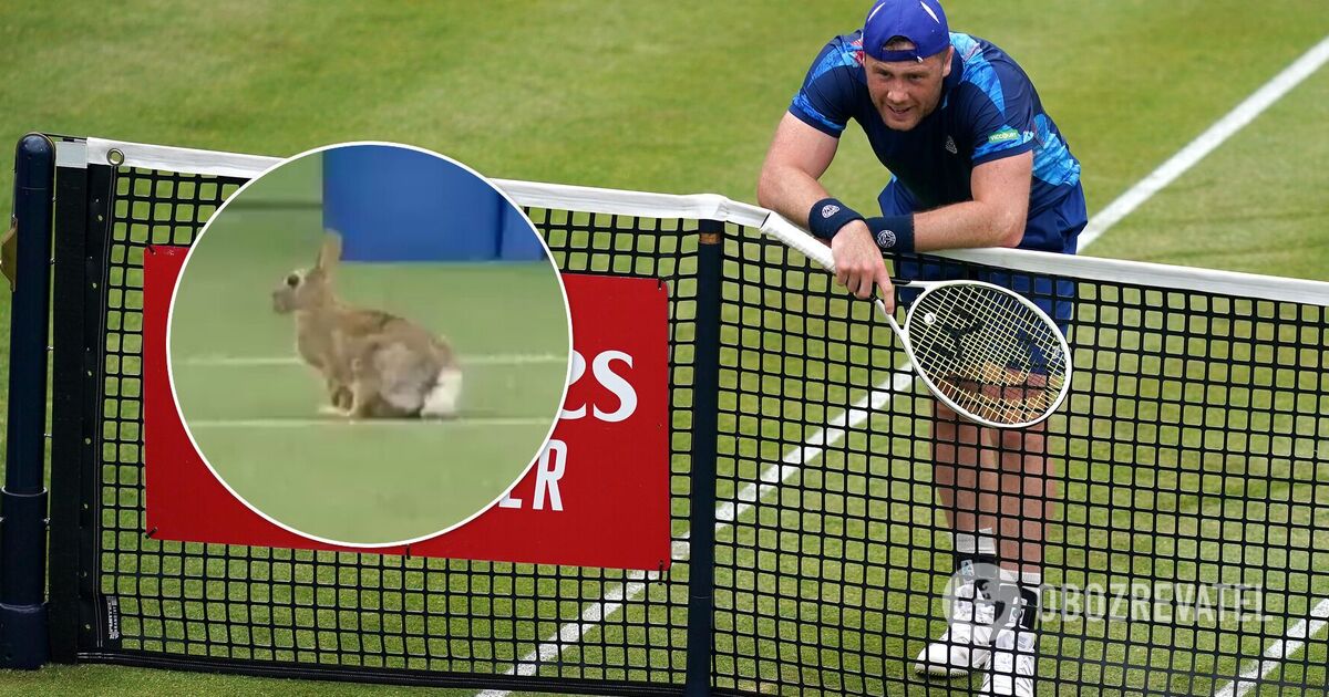 Матч українського тенісиста на турнірі в США перервав заєць. ВІДЕО