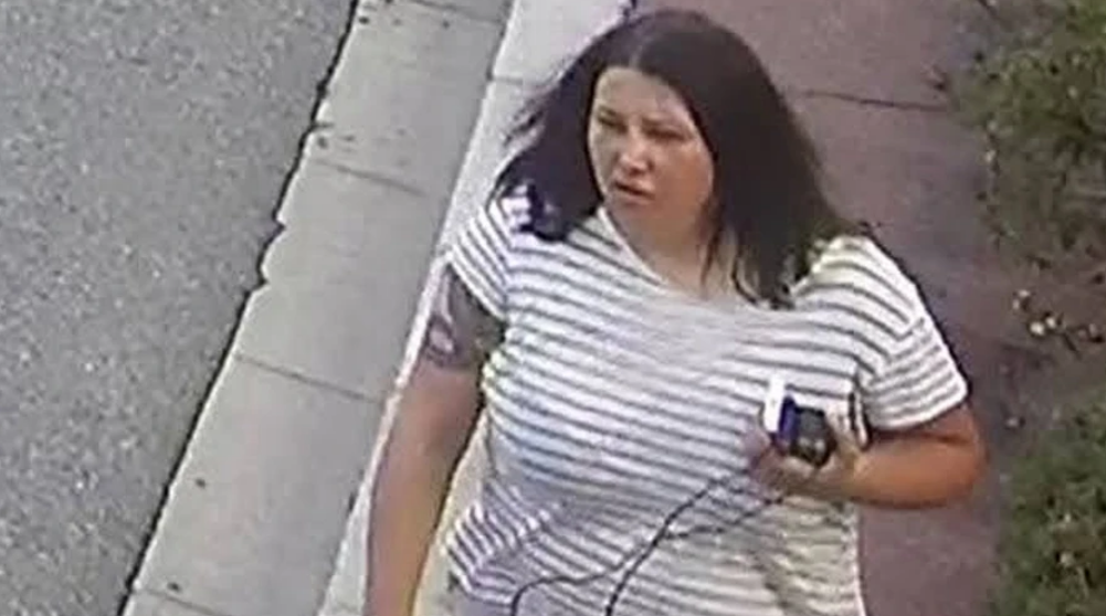 ДПСУ пояснила, як підозрювана в замаху на Єрмолаєва вʼїхала на територію України
