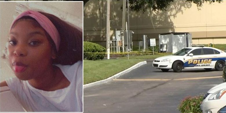 Младенец застрелил 21-летнюю мать во время видеоконференции