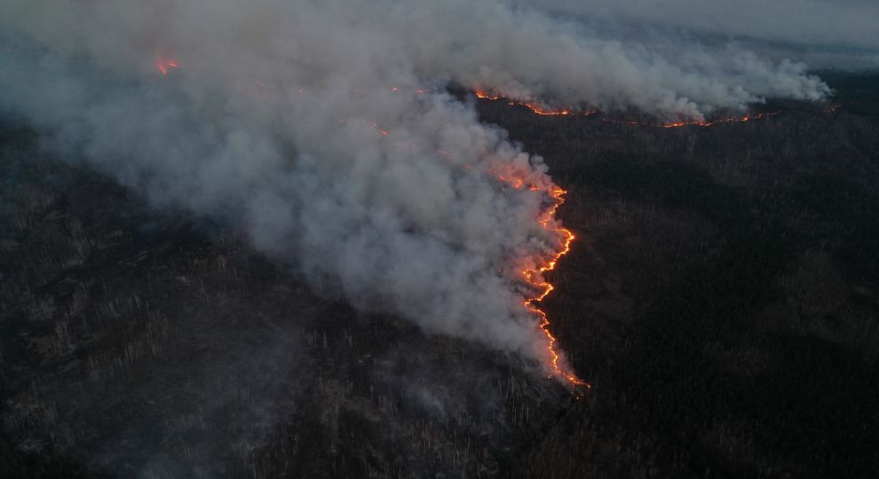 Пожежі у Чорнобильській зоні: який радіаційний фон на Київщині
