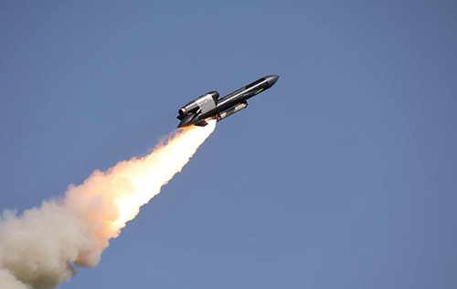 "На холєру нам потрібні ті Tomahawk, якщо маємо власні "Фламінго", – військовий експерт