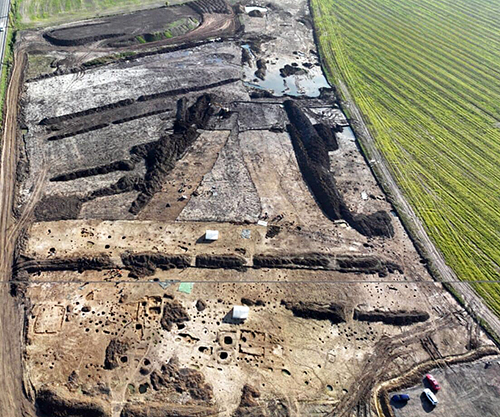 Несподівана знахідка на автобані: у Чехії виявили понад 22 тисячі артефактів кельтів