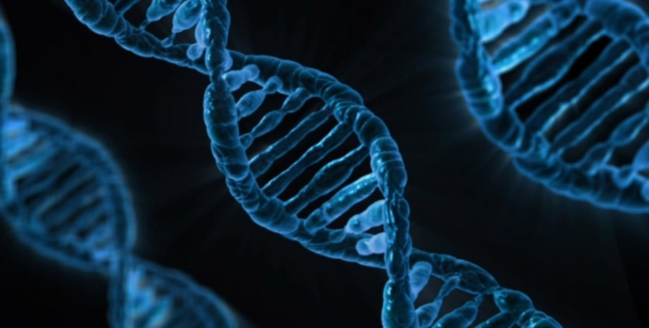 Група генетиків з Німеччини та США спростувала одну з теорій Дарвіна, — журнал Narute