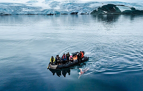 Вперше людина пропливла два з половиною кілометри у крижаній воді біля берегів Антарктиди