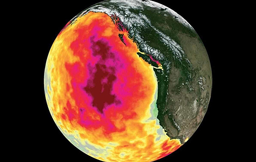Глобальное потепление создает убийственные "волны жары" в океанах