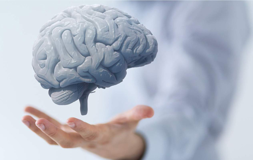 Ученые назвали одну простую привычку, которая сохраняет здоровье мозга
