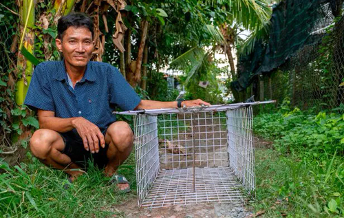 У В'єтнамі чоловік викрав 1500 домашніх кішок і продав їх у ресторани
