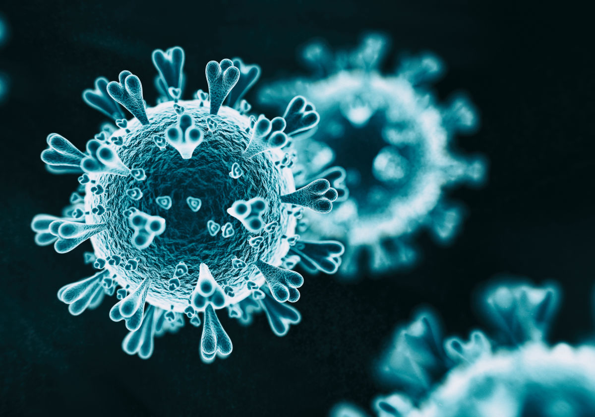 Науковці знайшли антитіло, яке може протистояти різним коронавірусним інфекціям