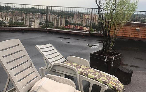 На даху тернопільської багатоповерхівки знайшли лаундж-зону з кущами коноплі. ФОТО