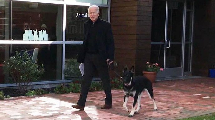 Собаки Байдена повернулися в Білий дім після інциденту з укусом співробітника Секретної служби