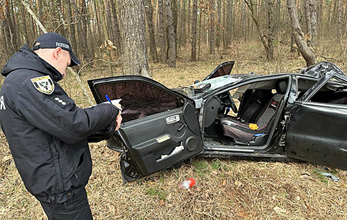 На Чернігівщині внаслідок падіння дерева на автомобіль загинуло двоє людей. ФОТО