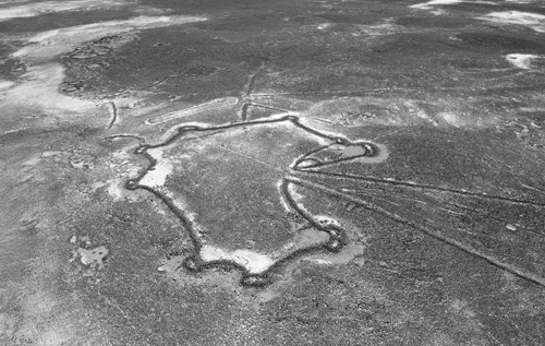 "Повітряні змії пустелі": археологи вивчають монументальні споруди, які можна побачити лише з великої висоти
