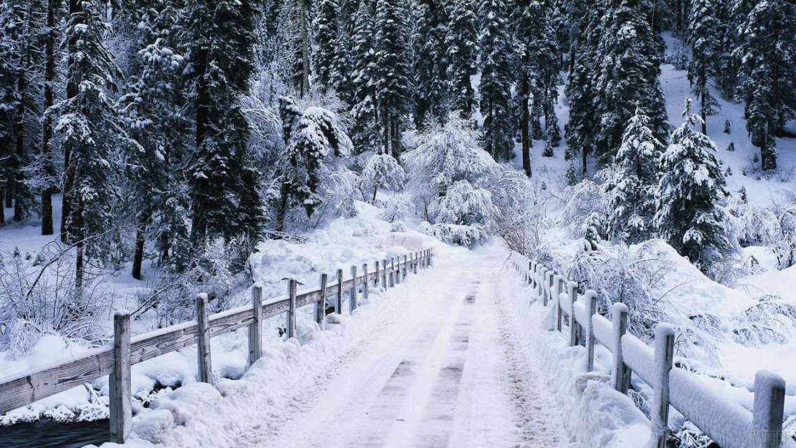 Нарешті зима: у Карпатах випало до 1,2 метра снігу