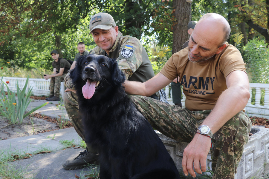 Як собаки допомагають у реабілітації військових