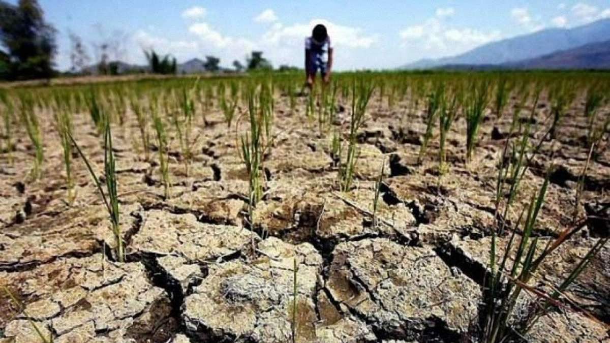 В ООН заявили про загрозу "наступної пандемії" – посухи