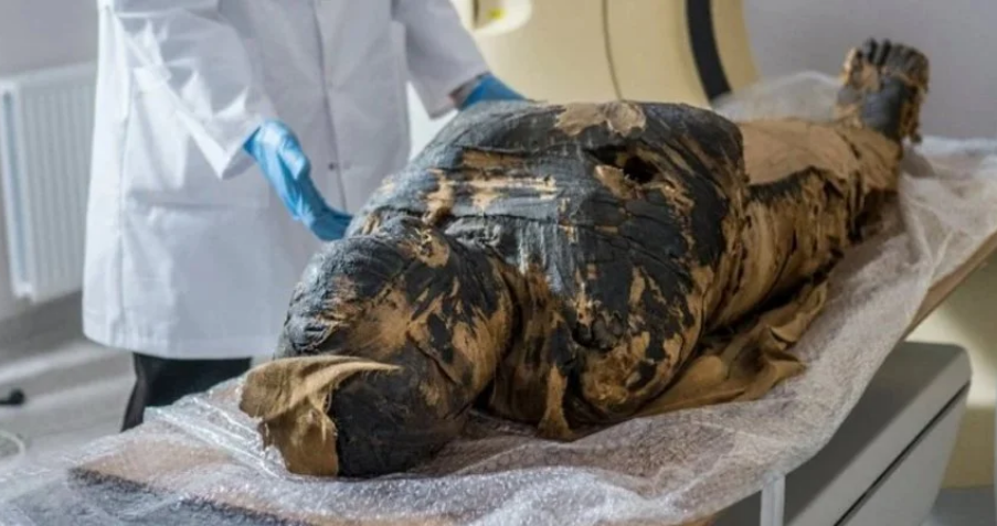 Розкрито ще один секрет першої у світі вагітної мумії
