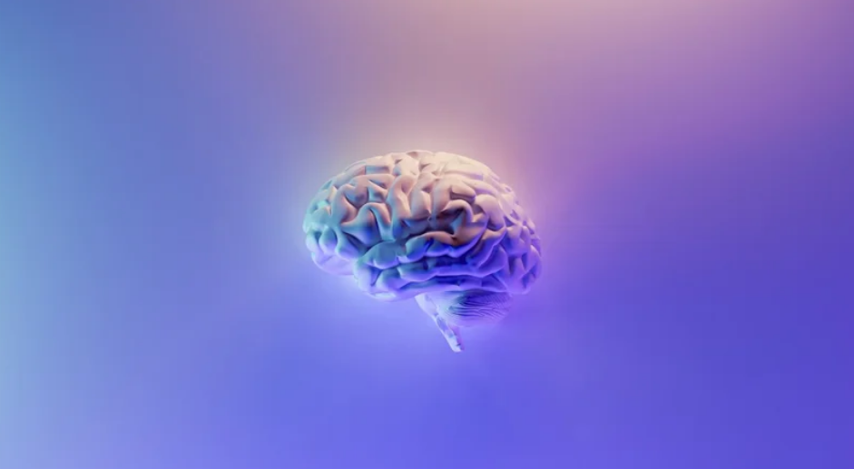Швейцарські вчені відкрили нову функцію людського мозку