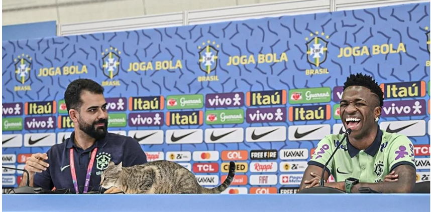 Співробітник збірної Бразилії грубо скинув кота зі столу під час пресконференції. ВІДЕО