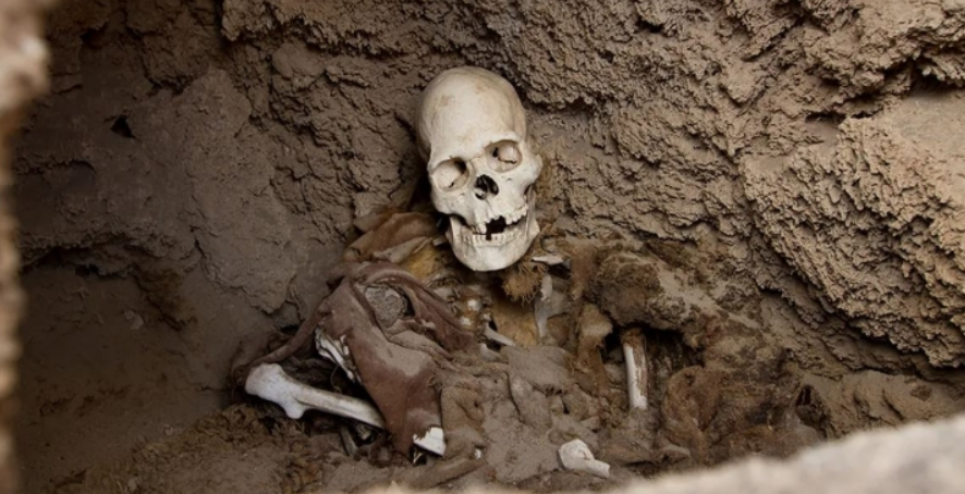Зібрані з різних людей: вчені відкрили моторошний секрет шотландських мумій