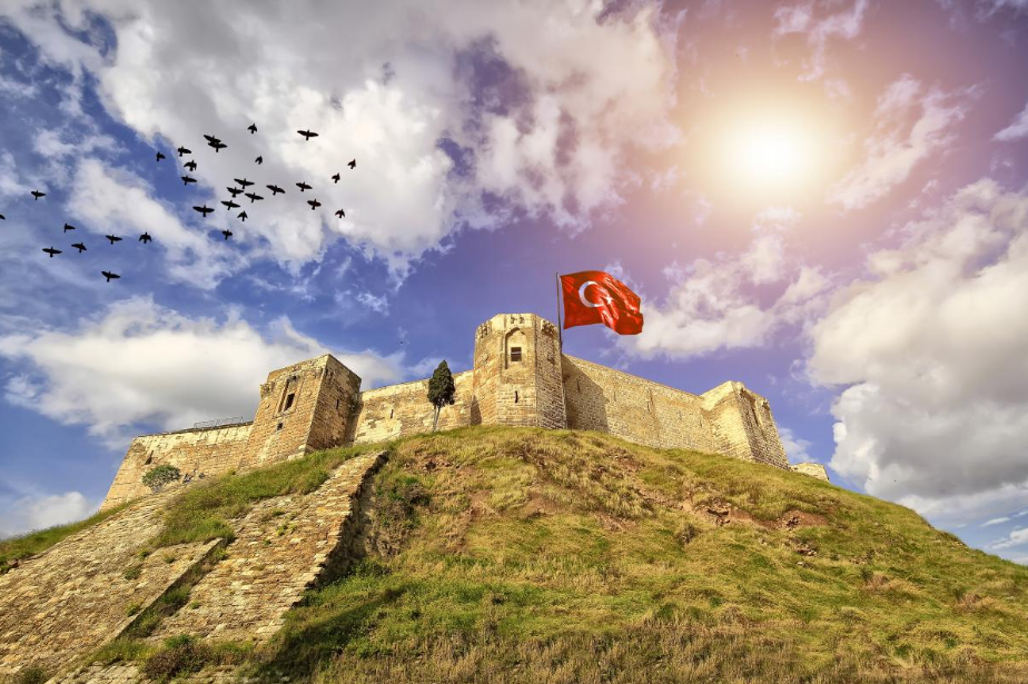 Потужний землетрус у Туреччині зруйнував фортецю зі списку ЮНЕСКО. ВІДЕО