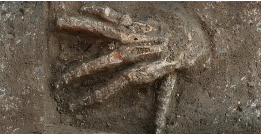 Моторошний ритуал. У Єгипті знайшли яму з відрубаними руками