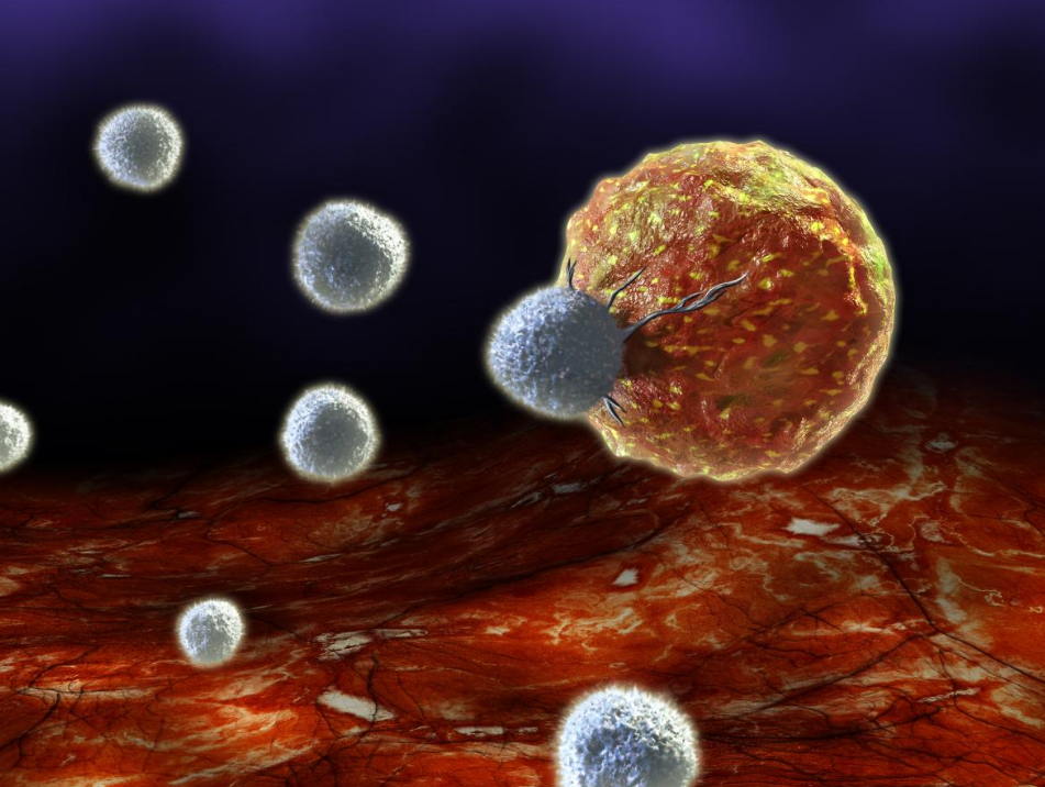 Вчені пояснили, як ракові "клітини-зомбі" оживають