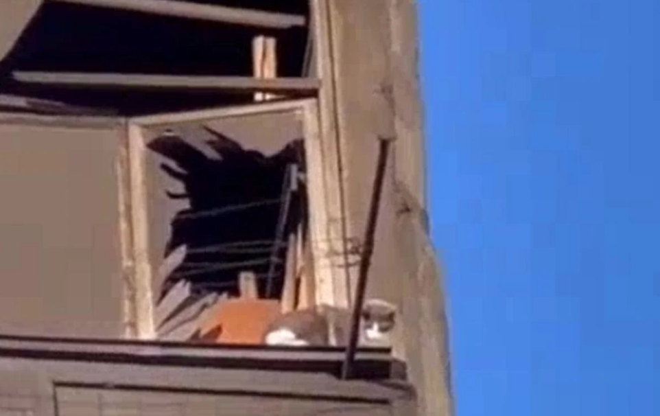 Три доби чекав порятунку: в Умані з балкону багатоповерхівки, розбитої російською ракетою, врятували кота. ВІДЕО