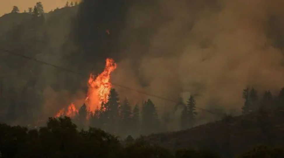 У Каліфорнії почали застосовувати ШІ для виявлення потенційних пожеж